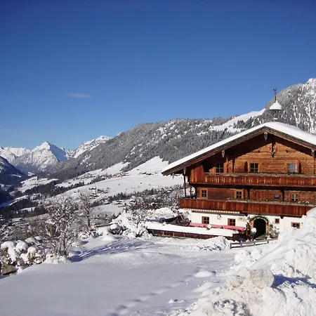 Alpengasthof Rossmoos Guest house Alpbach